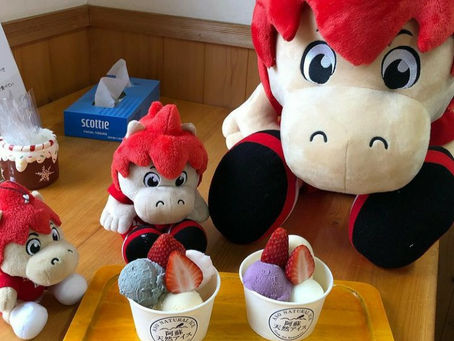 第3回阿蘇天然アイスフォトコンテスト5