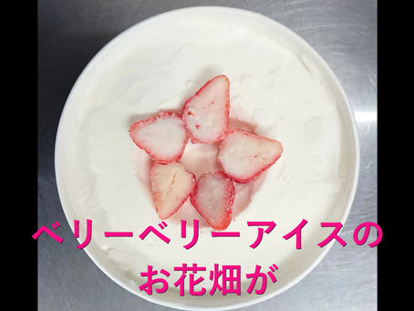 ベリーベリーアイスのお花畑