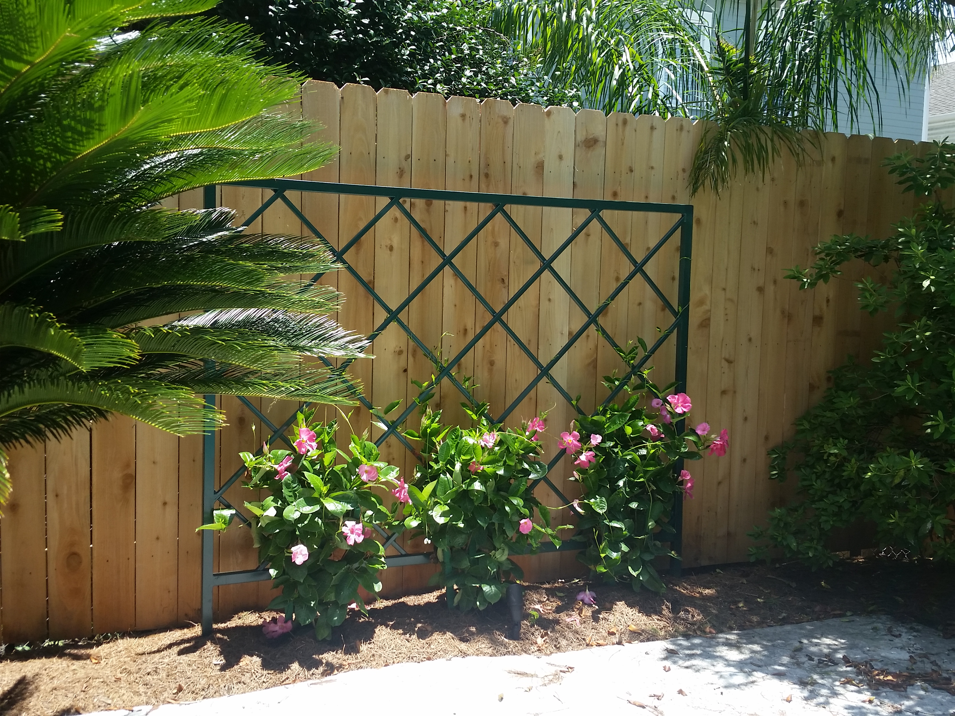 Custom Trellis