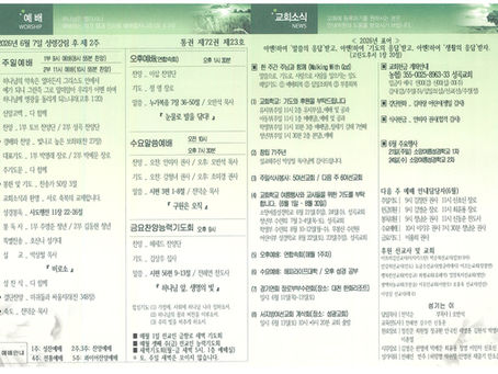 6월 7일