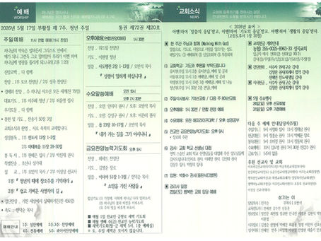 5월 17일