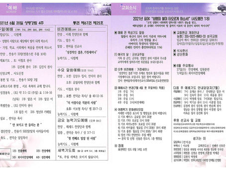 6월 20일