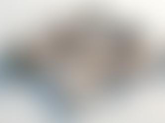 Maximize Your Home's Appeal with a 2D Floorplan in Your Marketing Package