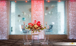 15168660_1869735349925353_7624121591984772123_o