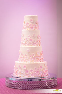 15369091_1878609962371225_126302342755522482_o