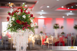 15039558_1862291837336371_1961368942127235173_o