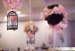 14708082_1847759882122900_1944421994007300415_o