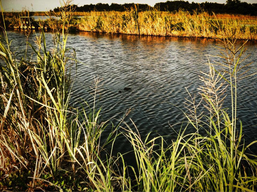 HOME tayloroutdoors