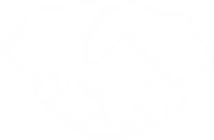 solidarity.png.webp