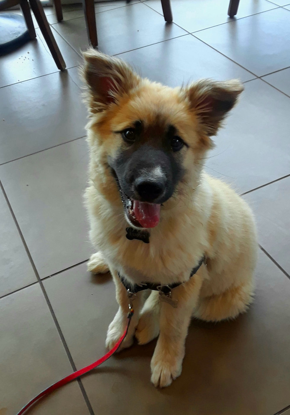 20190706_153343_edited.jpg