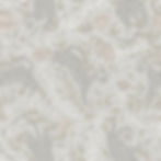 Patience & Gough fabric design Tora - Ash