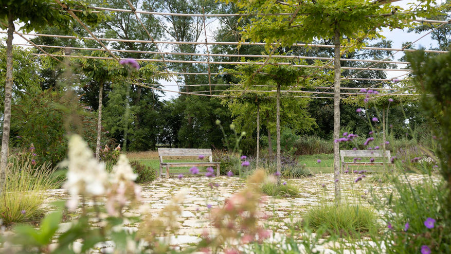 Schöne Bäume und der Garten von Gut Sulz