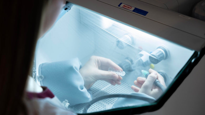 Hände manipulieren Proben in einem hell beleuchteten Laborkabinett.