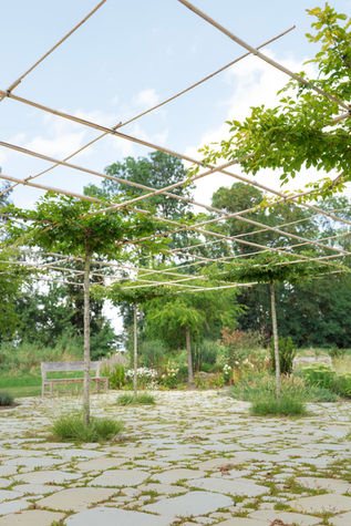 Der Außenbereich der Kartoffelhalle. Er ist mit Steinen gepflastert und umringt von Natur