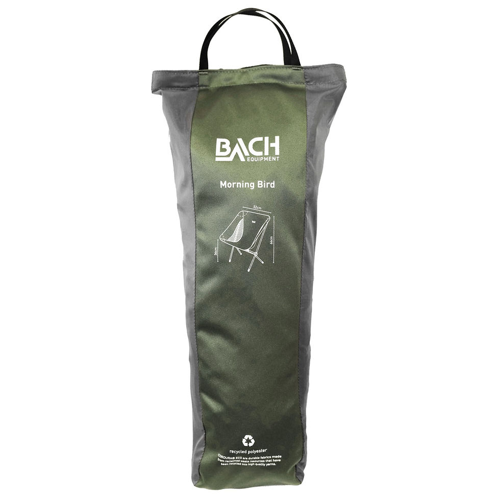 Thumbnail: BACH CHAIR MORNING BIRD