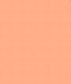 PINK-background low_edited.jpg