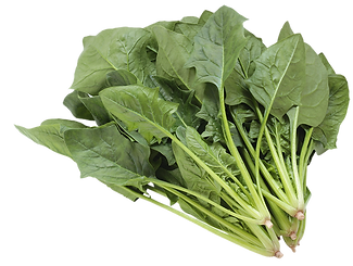 ほうれん草.png