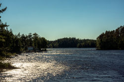 Sauna Trip I
