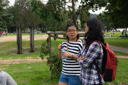 Park Hangout