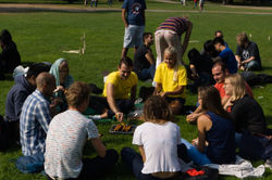 Park Hangout