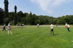Park Hangout