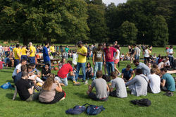Park Hangout