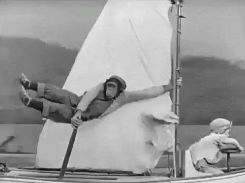 monkey sail.gif