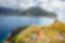 Scotts Head in the South.jpg