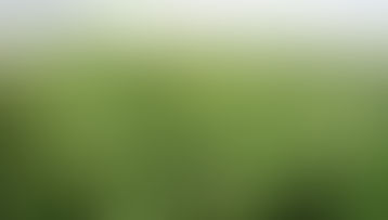 Why You Would Need to Try Healthy Hemp