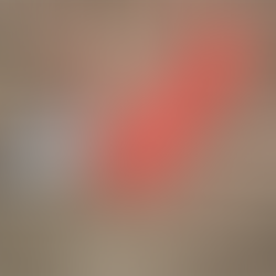 Ur-Berner Zielwurfsport