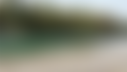 Ständig Neues zu entdecken