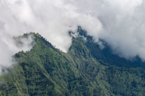 Mar, Surf & Nature Mag