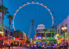 the largest observation wheel in North America!!