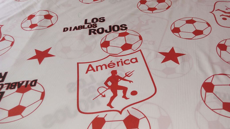 Miniatura: Sabanas America de Cali