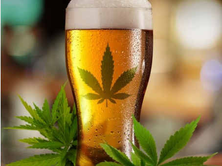 Minnesota lawmakers are mulling THC beverages on tap, marijuana license cap