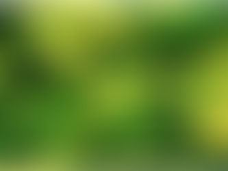 Senate Votes To Allow VA Doctors To Recommend Medical Marijuana To Veterans