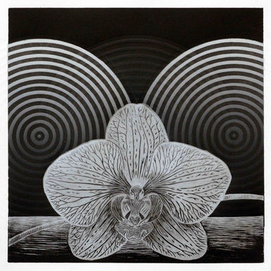 Tom_Eidsvold_Larsen_6. Orkide.jpg