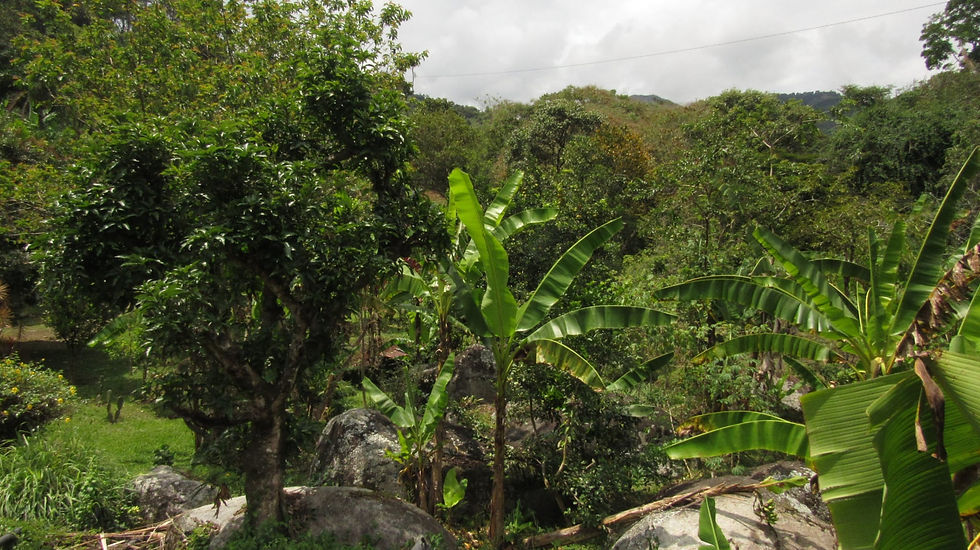 Miniatura: Venta: Finca en Girardota - Antioquia 