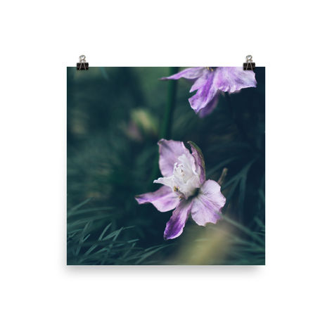 enhanced-matte-paper-poster-(in)-12Anais FAURE photographie, photographe, portrait, fleurs prints, Anais Faure photographex12-transparent-648c7942b8718.jpg