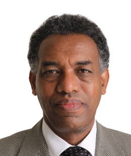 Professor Abebaw Fekadu.jpg