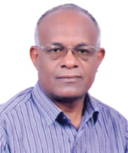Prof. Asrat Hailu.jpg