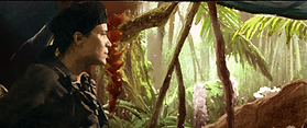 Jungle_Rouge B.png