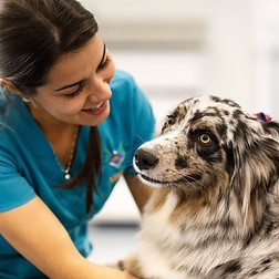 1-sp-strix-00007-1-1-mnlJz4xMvDC8Q78q (2).jpg