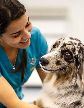 1-sp-strix-00007-1-1-mnlJz4xMvDC8Q78q (2).jpg