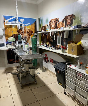 WhatsApp Image 2025-10-29 at 18.08.41.jpeg