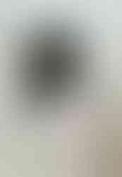 WhatsApp Image 2025-02-26 at 15.34.55 (2)