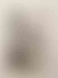 WhatsApp Image 2025-02-21 at 15.22.18 (4)