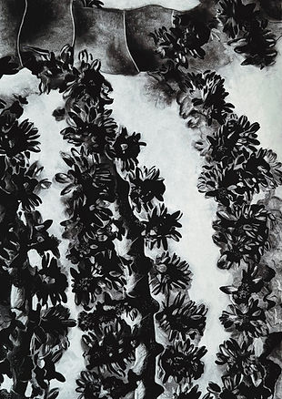 Buriti (Mauritia flexuosa).jpg