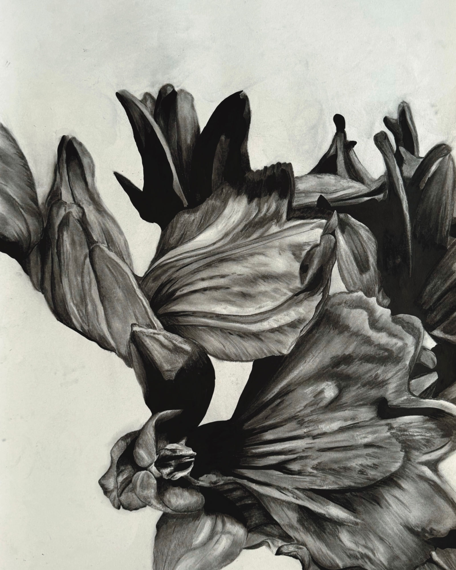 Orquídea-da-madeira (Dactylorhiza foliosa) — watercolor