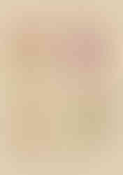 WhatsApp Image 2025-02-21 at 15.47.14 (4)